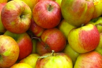 Äpfel für Allergiker